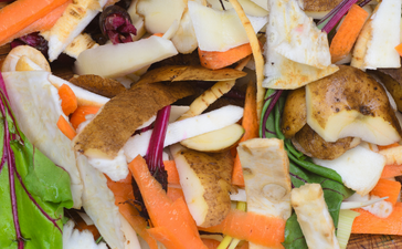 Astuces Compost